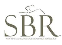 SBR Logo